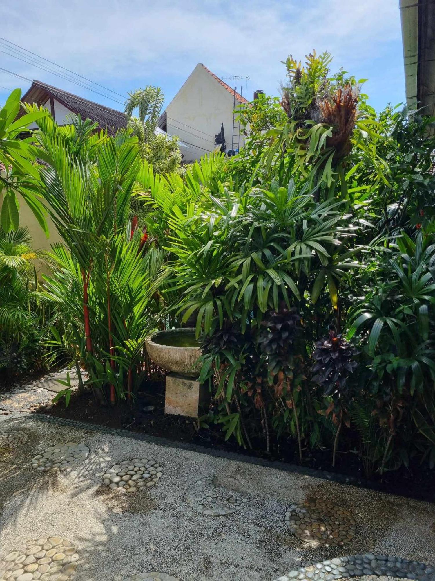 Bumiayu 3 Sanur
