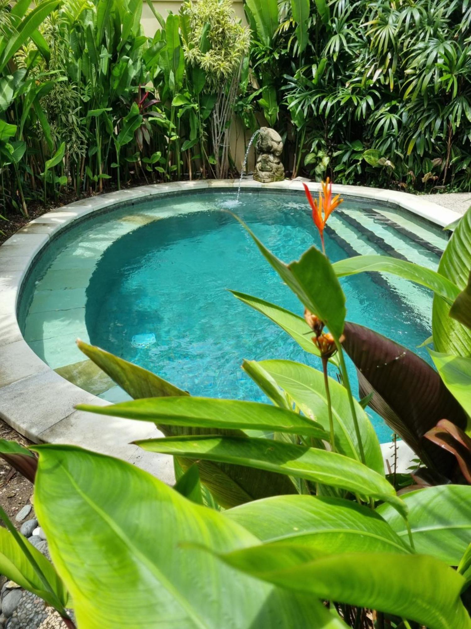 Bumiayu 3 Villa Sanur